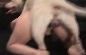 Cô gái không cạo vùng kín quan hệ tình dục với chó