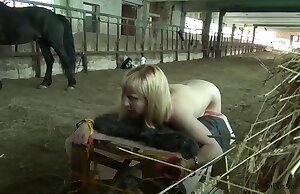 Ngựa Nga trong video khiêu dâm hardcore