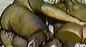 sex ph Tomm Gun Gunn sex gai dep cums bạn gái của mình trong âm hộ của cô và kiêm đi ra.